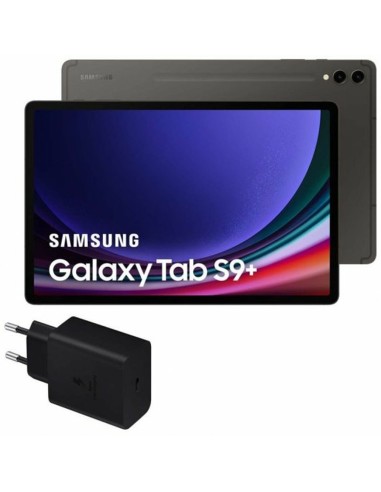 Tablette Samsung Galaxy Tab S9+ 5G 12,4" Gris