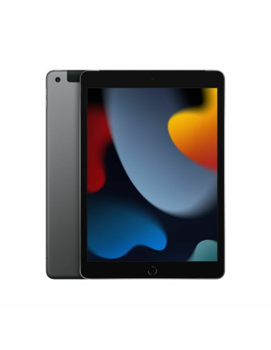 Tablette Apple iPad 10,2" Gris A13 3 GB RAM 64 GB
