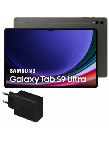 Tablette Samsung Galaxy Tab S9 Ultra 14,6" Gris