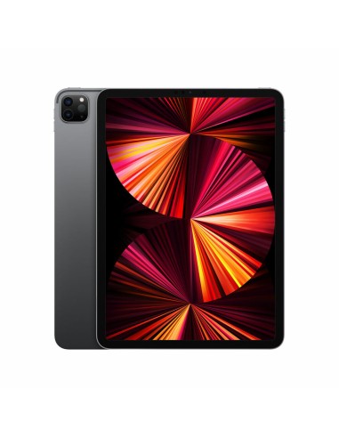 Tablette Apple iPad Pro 2021 11" M1 16 GB RAM 2 TB Gris