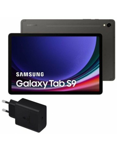 Tablette Samsung Galaxy Tab S9 11" 128 GB Gris